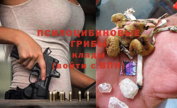гидра Алексин