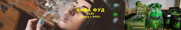 МДПВ Каменка