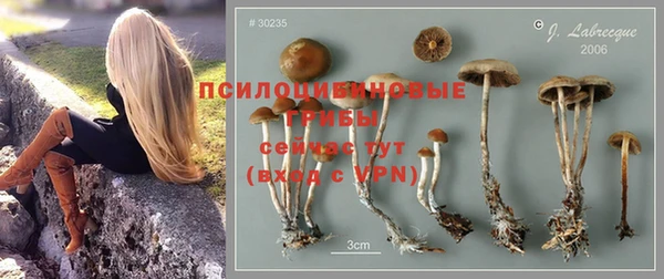 гидра Алексин