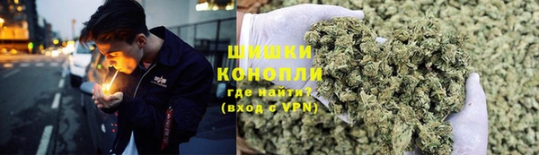 тгк Каменногорск
