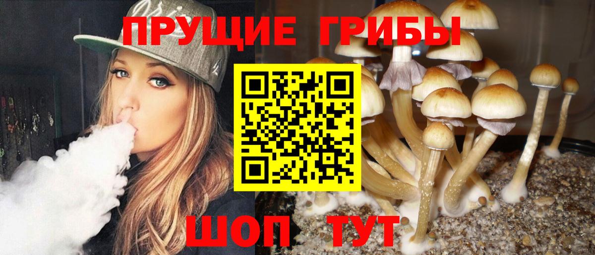 Уссурийск  Псилоцибиновые грибы ЛСД  Вход с VPN 