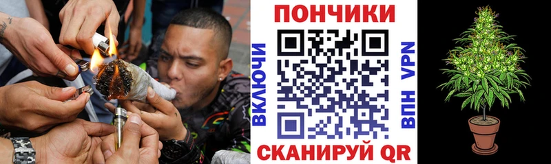 Каннабис OG Kush Уссурийск